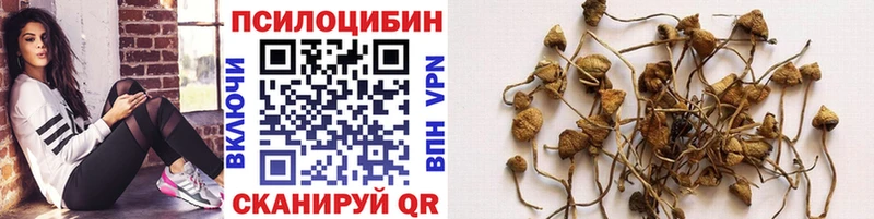 Псилоцибиновые грибы Magic Shrooms  Бакал 