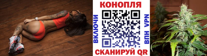 даркнет сайт  Бакал  кракен зеркало  Шишки марихуана OG Kush 